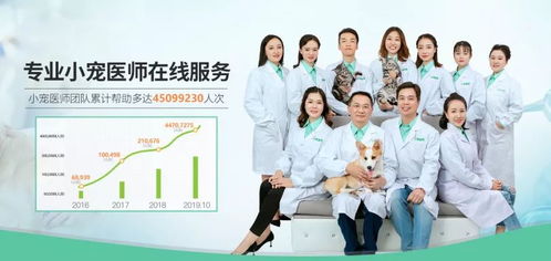 疫情期间宠物呕吐、拉稀、血便怎么办？4大科学防护指南助力在家养宠