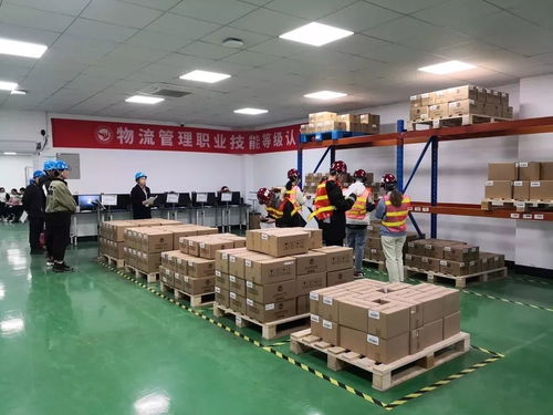 走过2019，奋斗的足迹——成果展学院篇之外语外贸学院、建筑工程学院、创意设计学院与策划创意服务