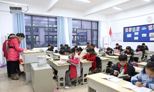 课后延时服务免费化 深圳模式的推广路径与时间预期